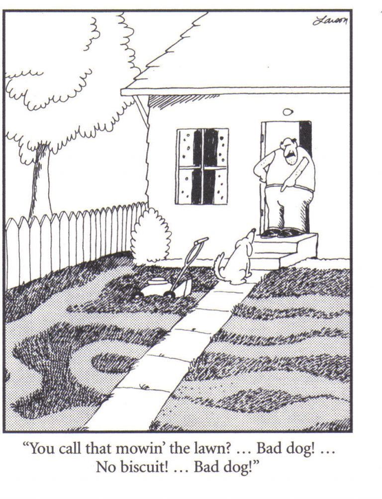 dog-mowing-lawn-cartoon-768x1004.jpg