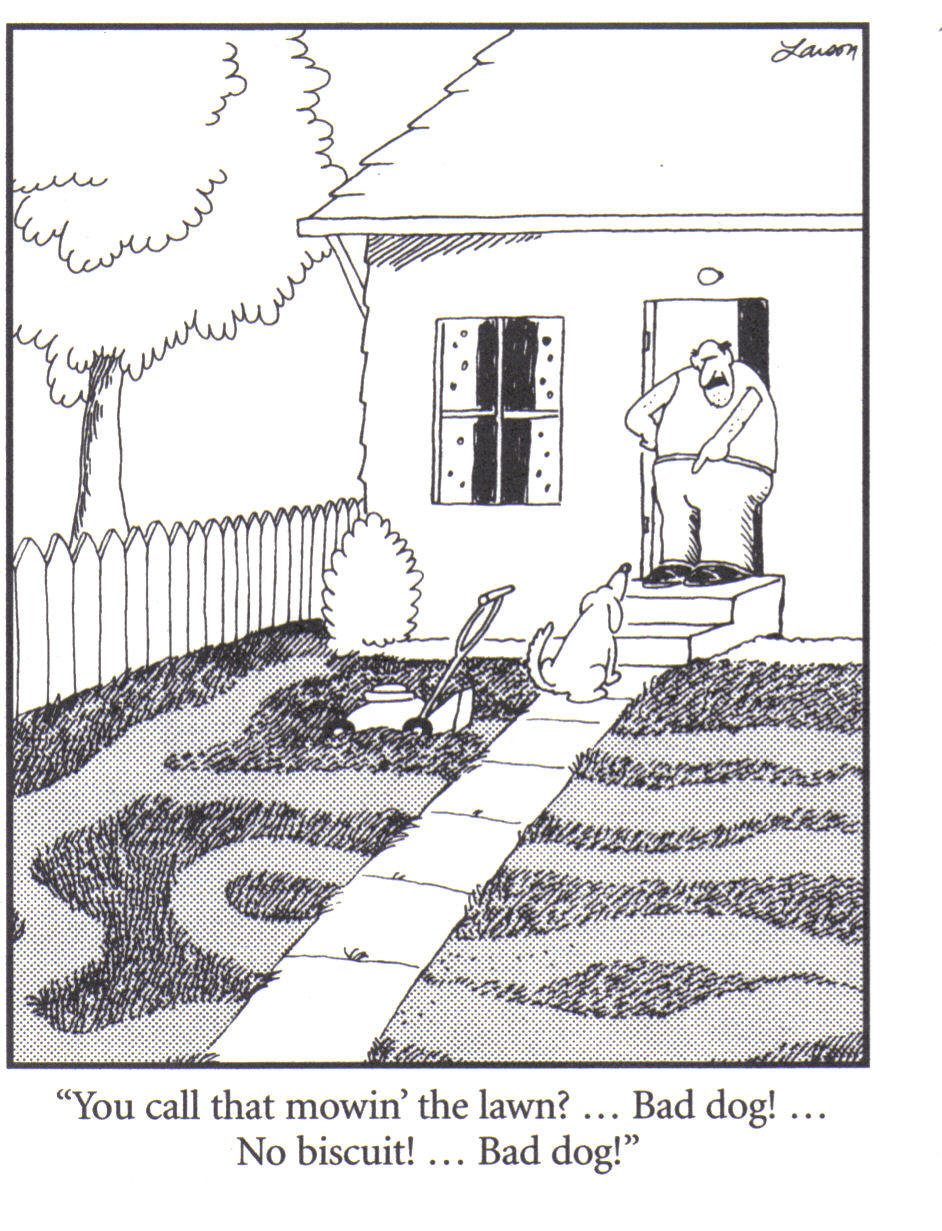 dog-mowing-lawn-cartoon.jpg