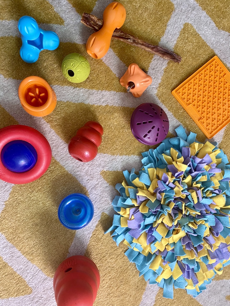 Puzzle and enrichment toys for dogs